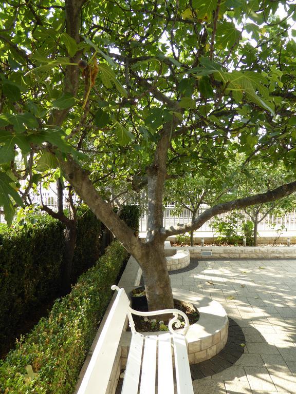 Apartments Bojanic Vodice Bagian luar foto